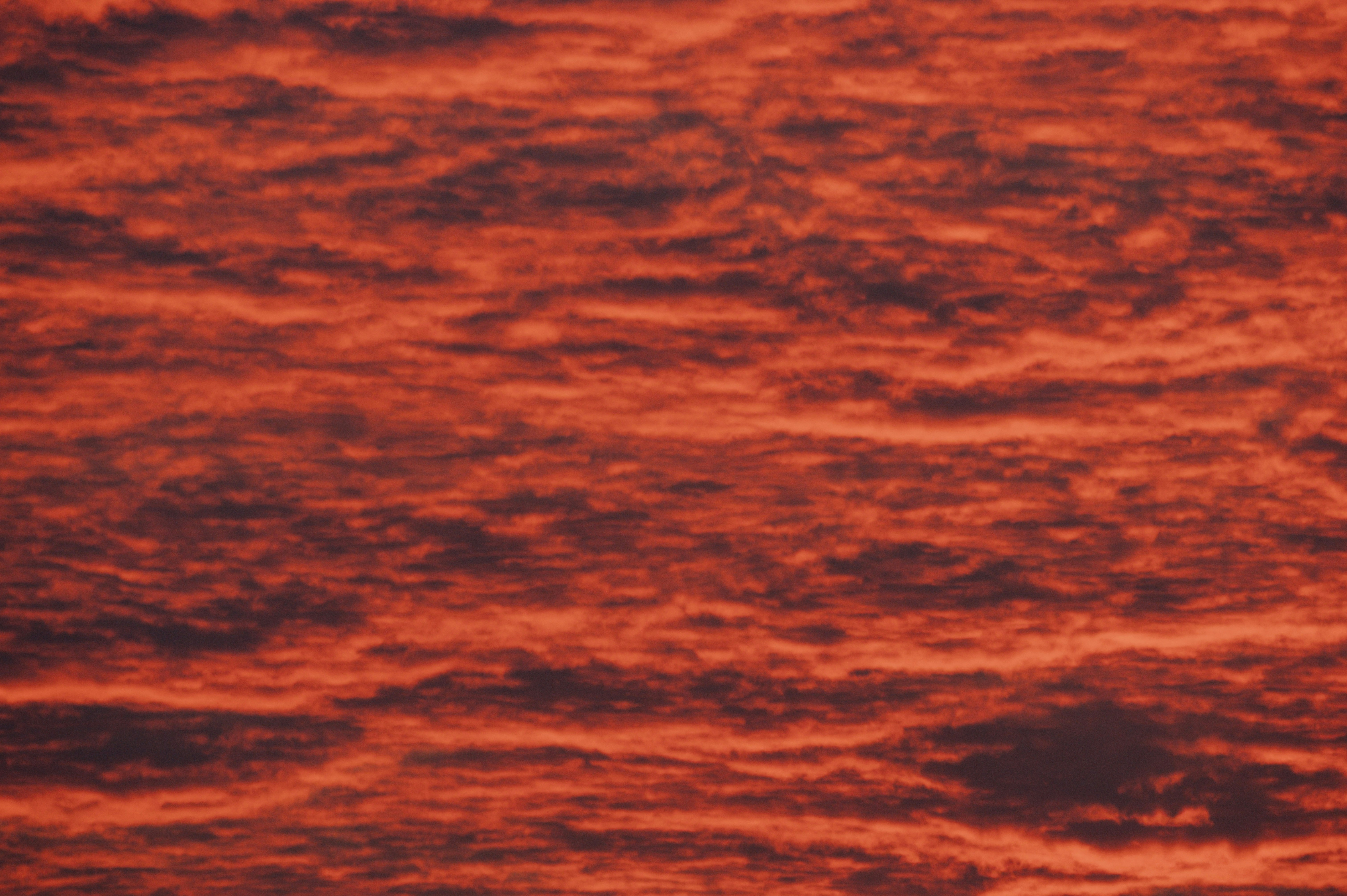 Photo by chuttersnap