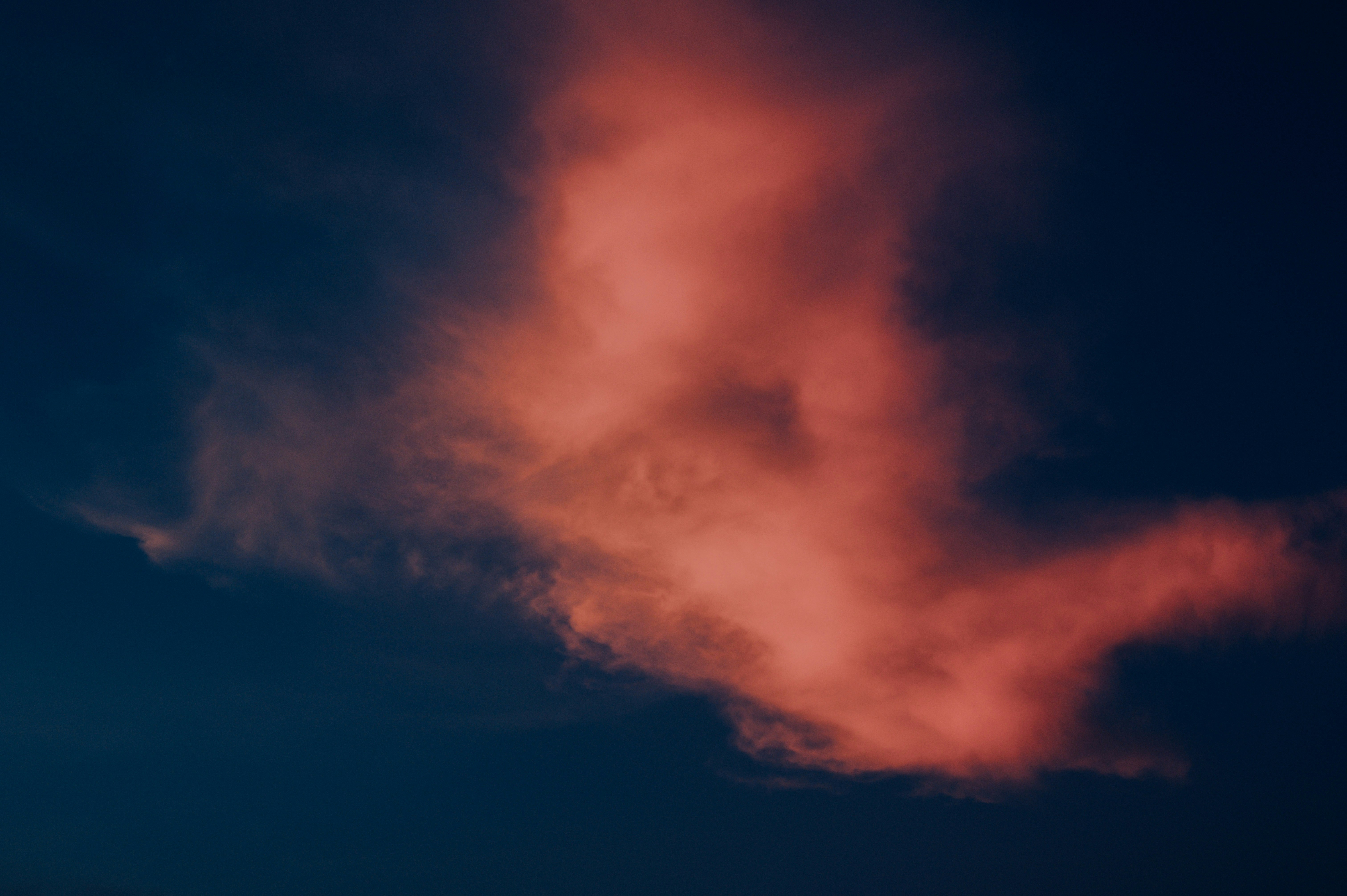 Photo by chuttersnap