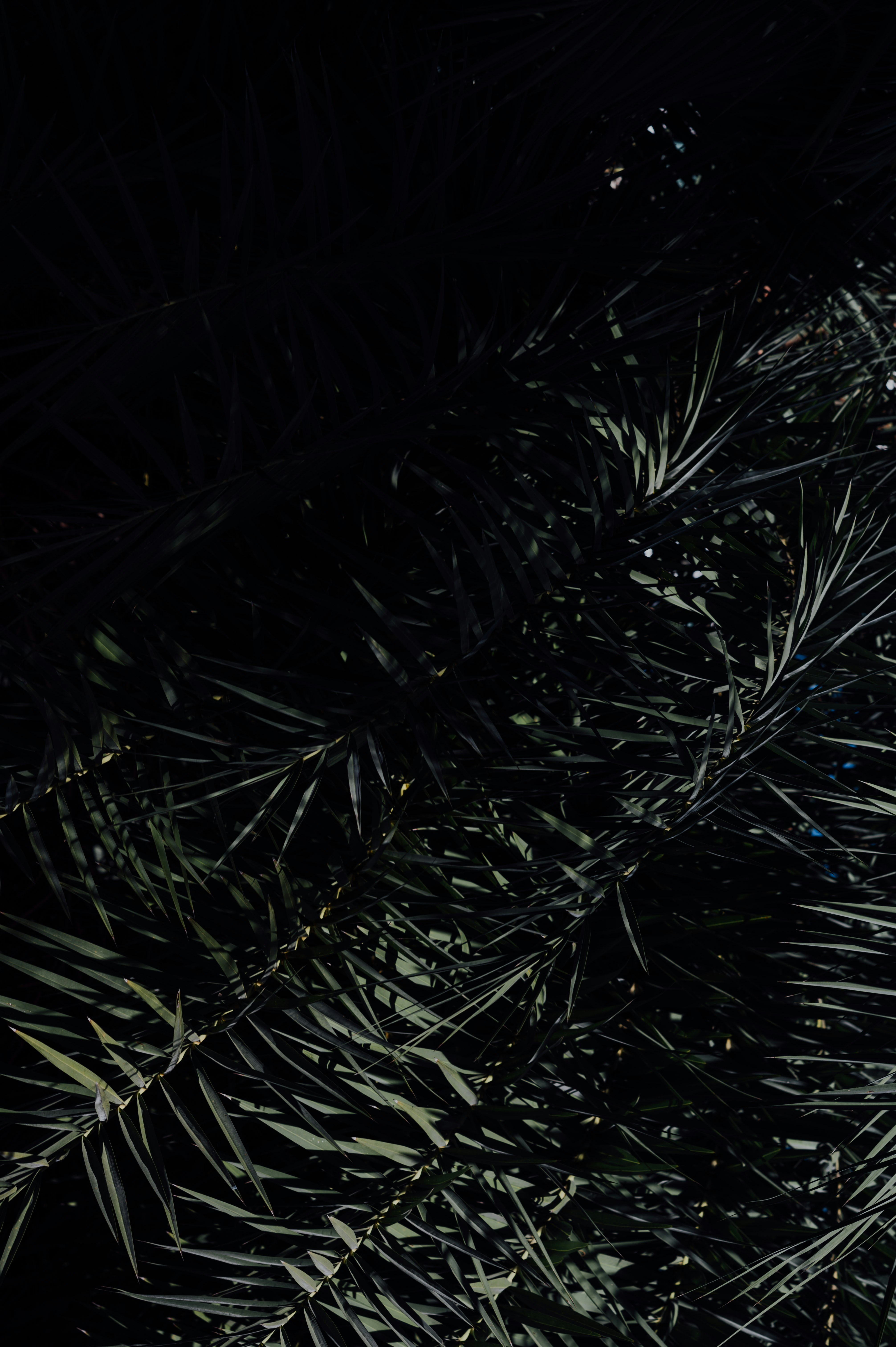 Photo by chuttersnap