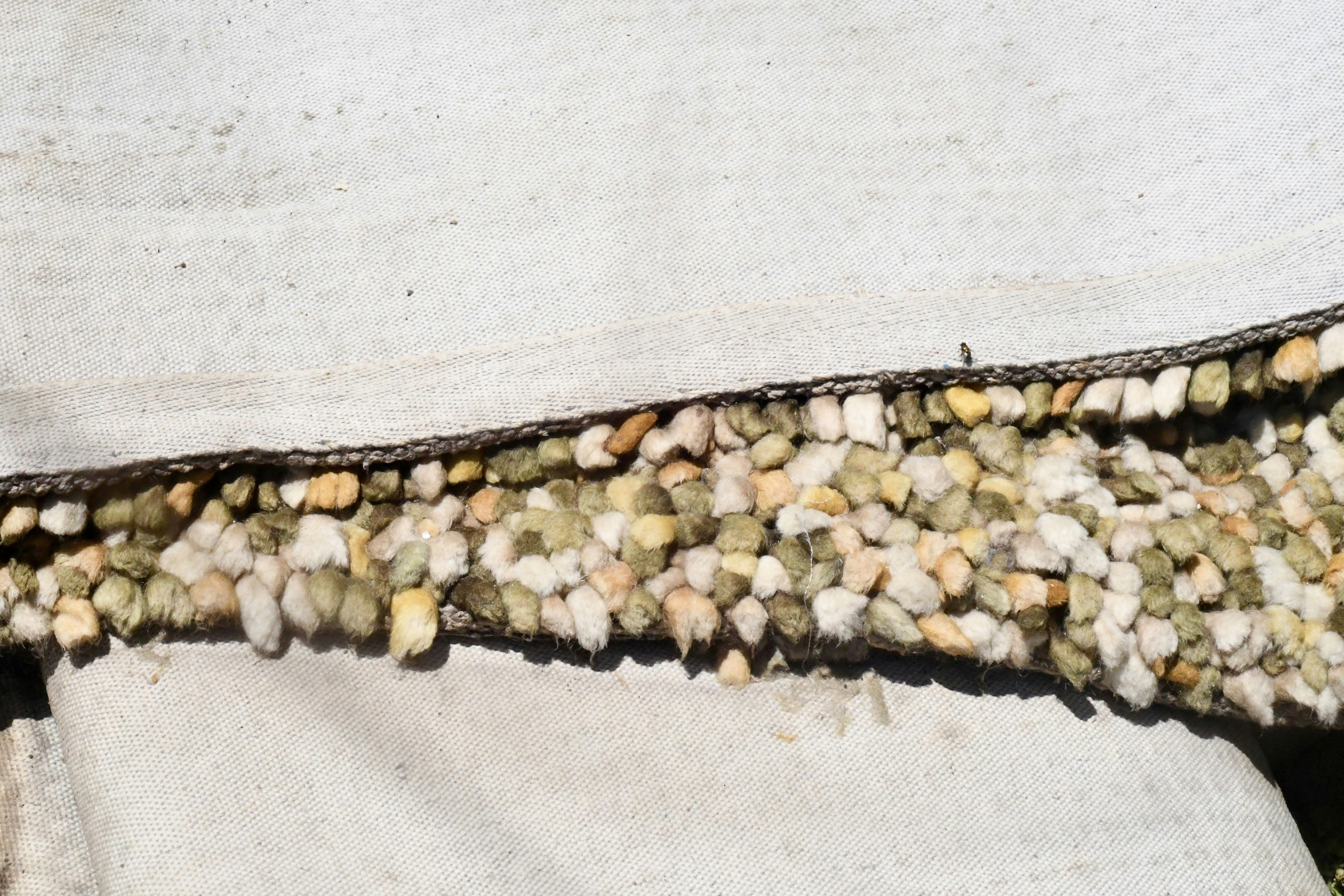 brown and white beans on white textile
