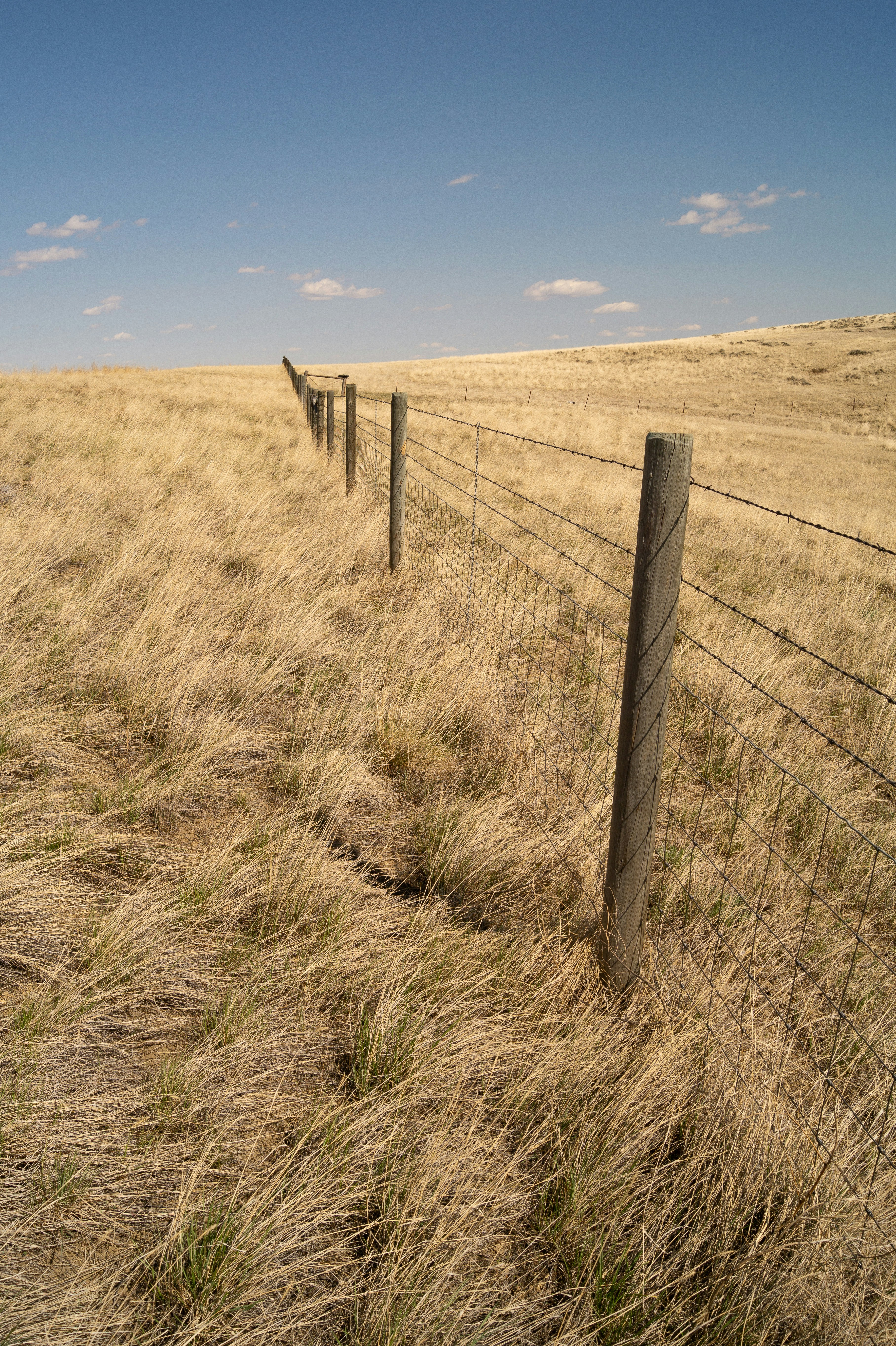 Photo by joshuaahicks