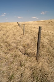 brown wooden fence on brown grass field under blue sky during daytime