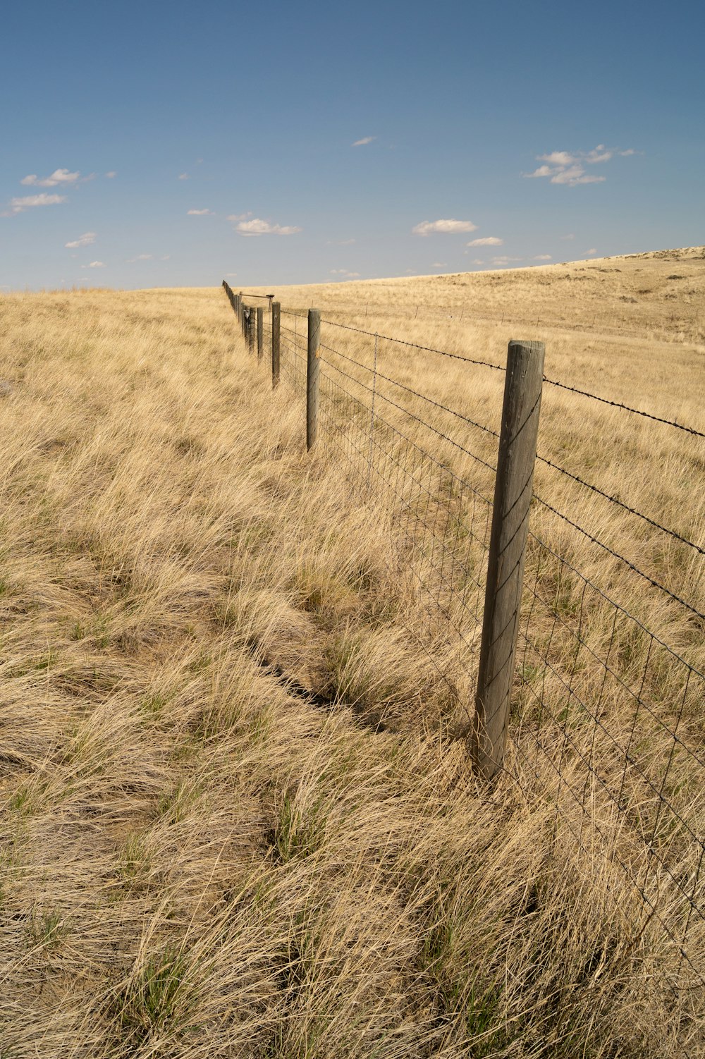 brown wooden fence on brown grass field under blue sky during daytime