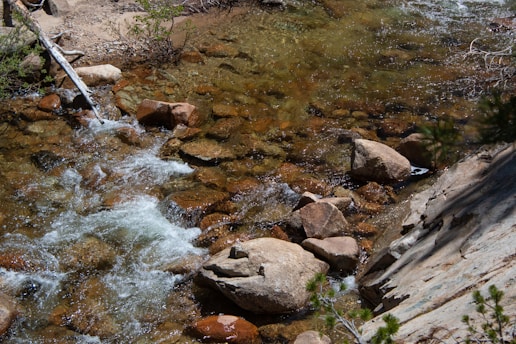 A clear stream flows over and around smooth, large rocks and boulders. The water appears to be shallow and has a gentle flow with visible ripples and white water created by the rocks. Surrounding the stream, there is sparse vegetation, including low bushes and small branches.