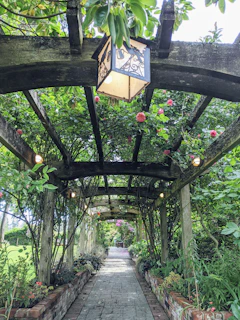 A cozy garden transformation featuring a wooden pergola and stone pathway.