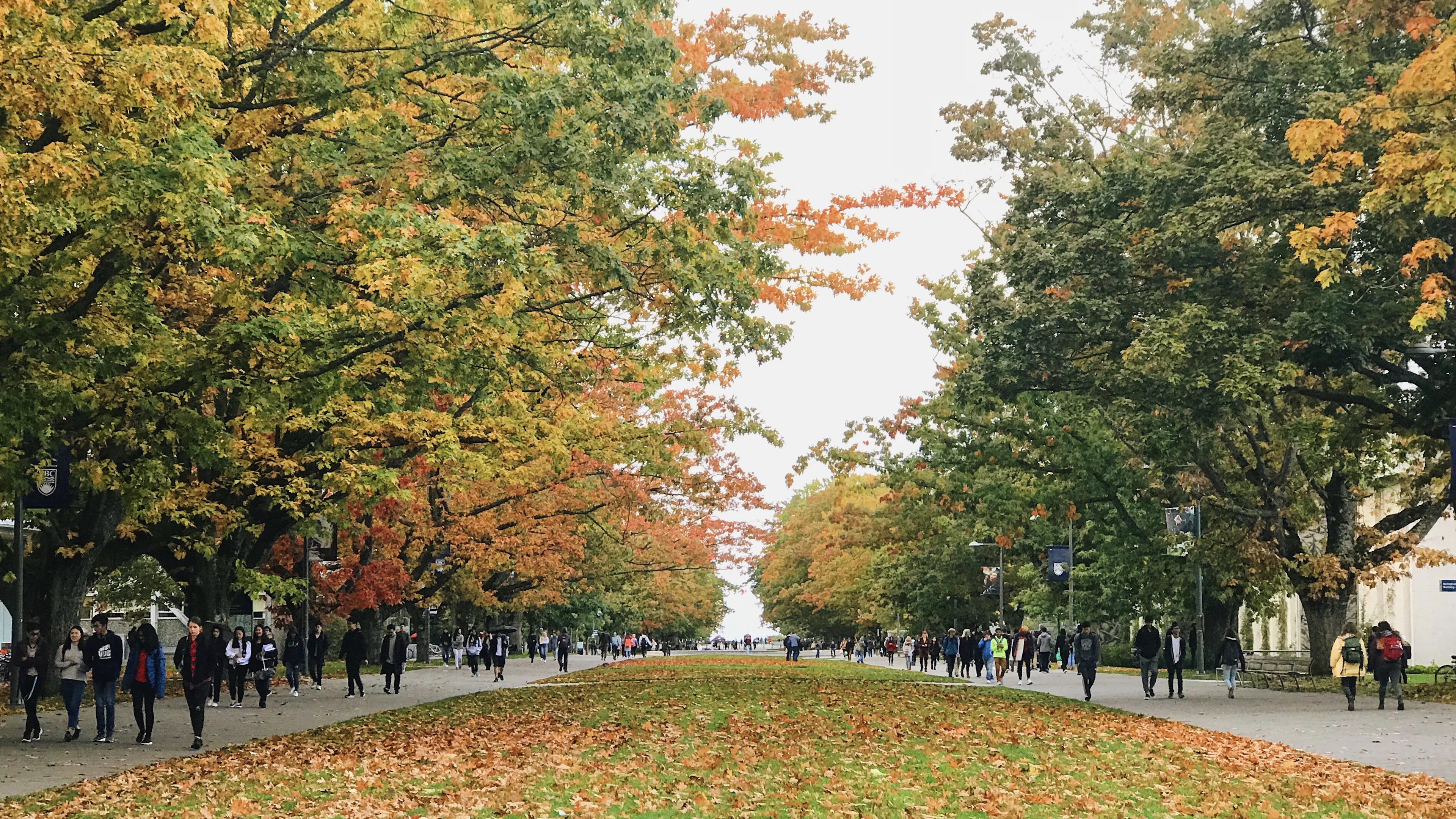 Students walking along the tree-lined Main Mall at the University of British Columbia in Vancouver