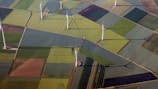 An aerial view of a landscape with large geometric patches of agricultural fields in varying shades of green and brown. Wind turbines are distributed throughout the fields, casting long shadows across the terrain.