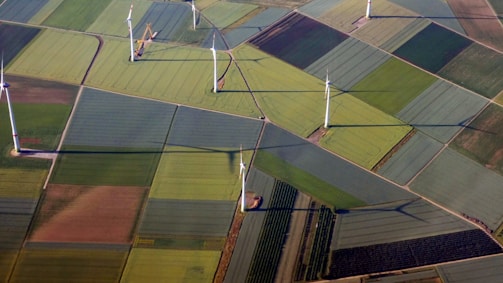 An aerial view of a landscape with large geometric patches of agricultural fields in varying shades of green and brown. Wind turbines are distributed throughout the fields, casting long shadows across the terrain.