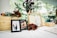 A decorative table display featuring framed photographs, floral arrangements with red and green hues, and documents in wooden frames. A globe and other decorative elements are present, creating an elegant and celebratory ambiance.