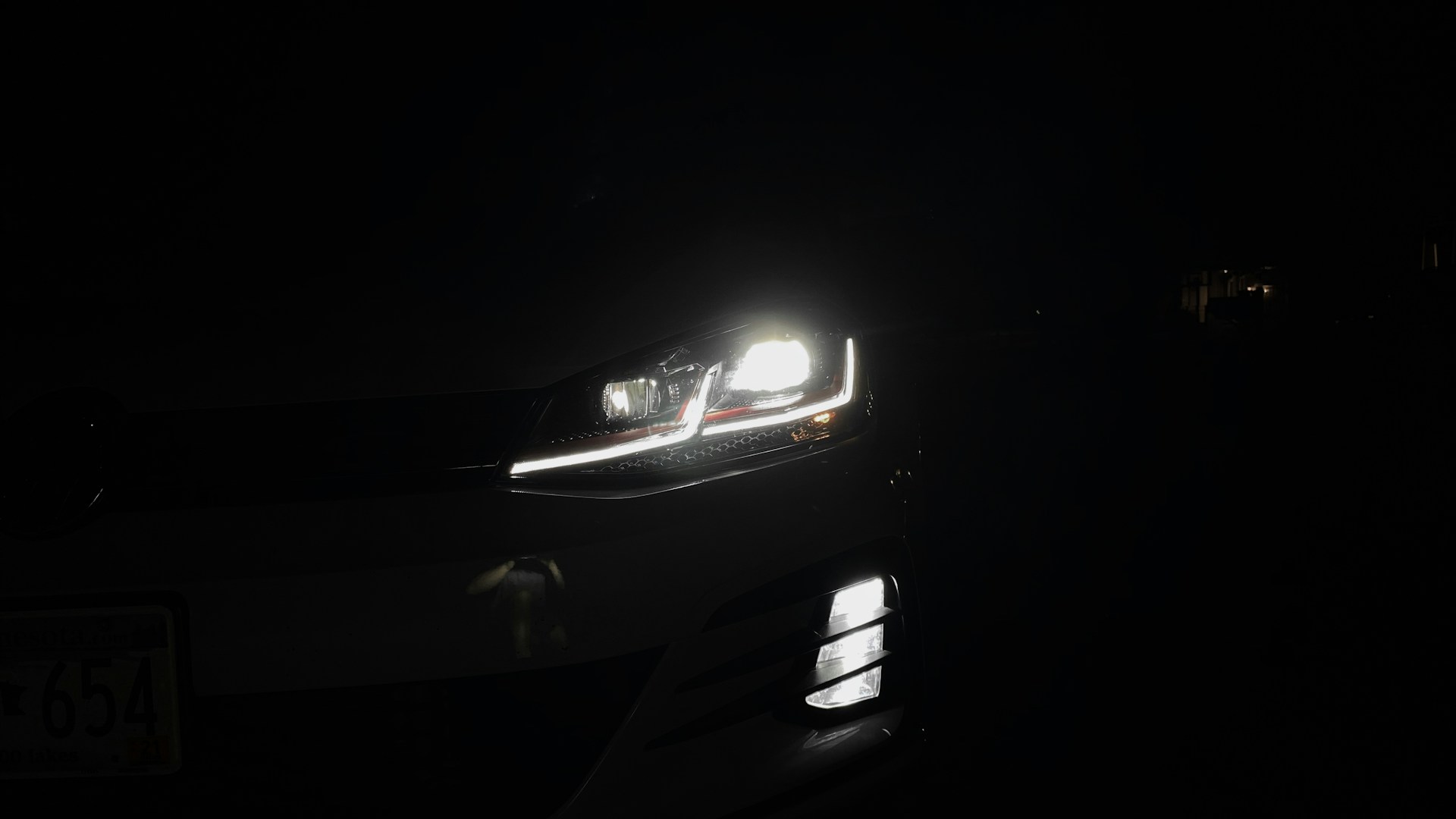 woman holding dried flower