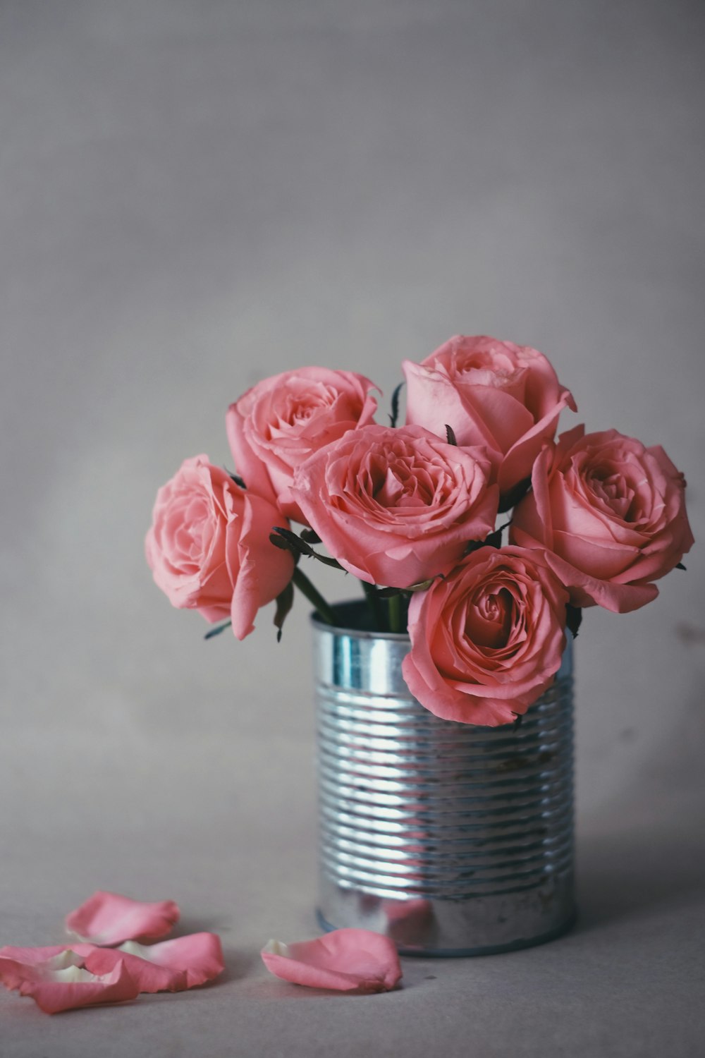 pink roses in gray steel vase
