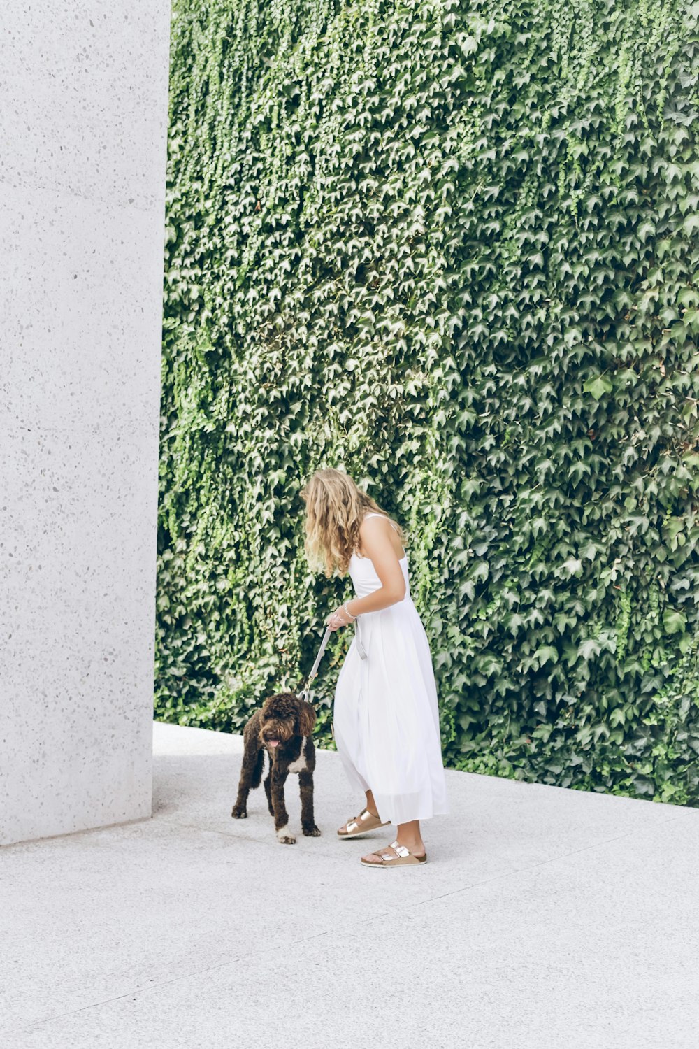 woman in white dress holding black and brown short coated dog