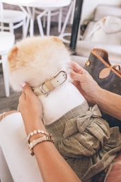 Elevé Group person wearing silver bracelet and white long sleeve shirt
