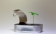silver steel flower pot on white table
