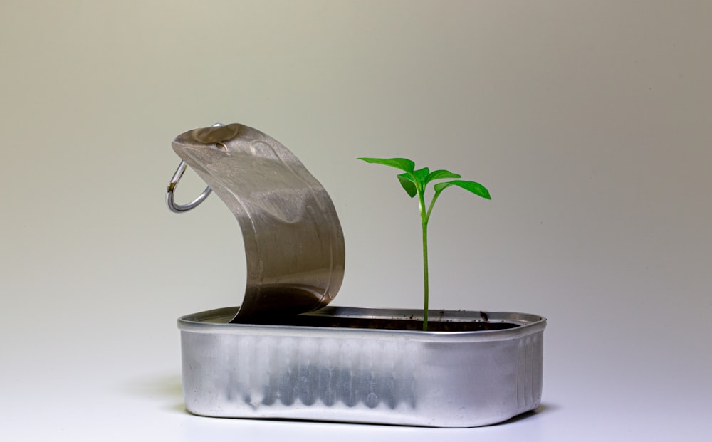 silver steel flower pot on white table