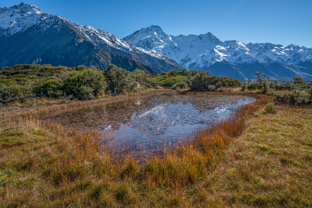 green and brown grass field near lake and snow covered mountain during daytime