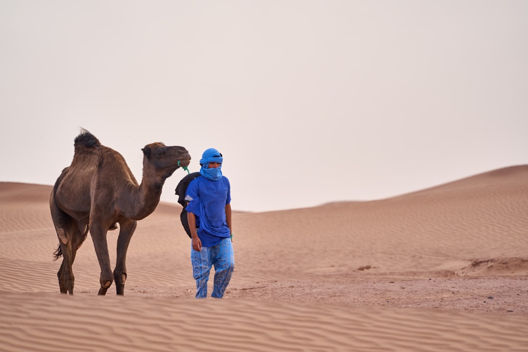 man in blue jacket and blue denim jeans standing beside brown camel during daytime
