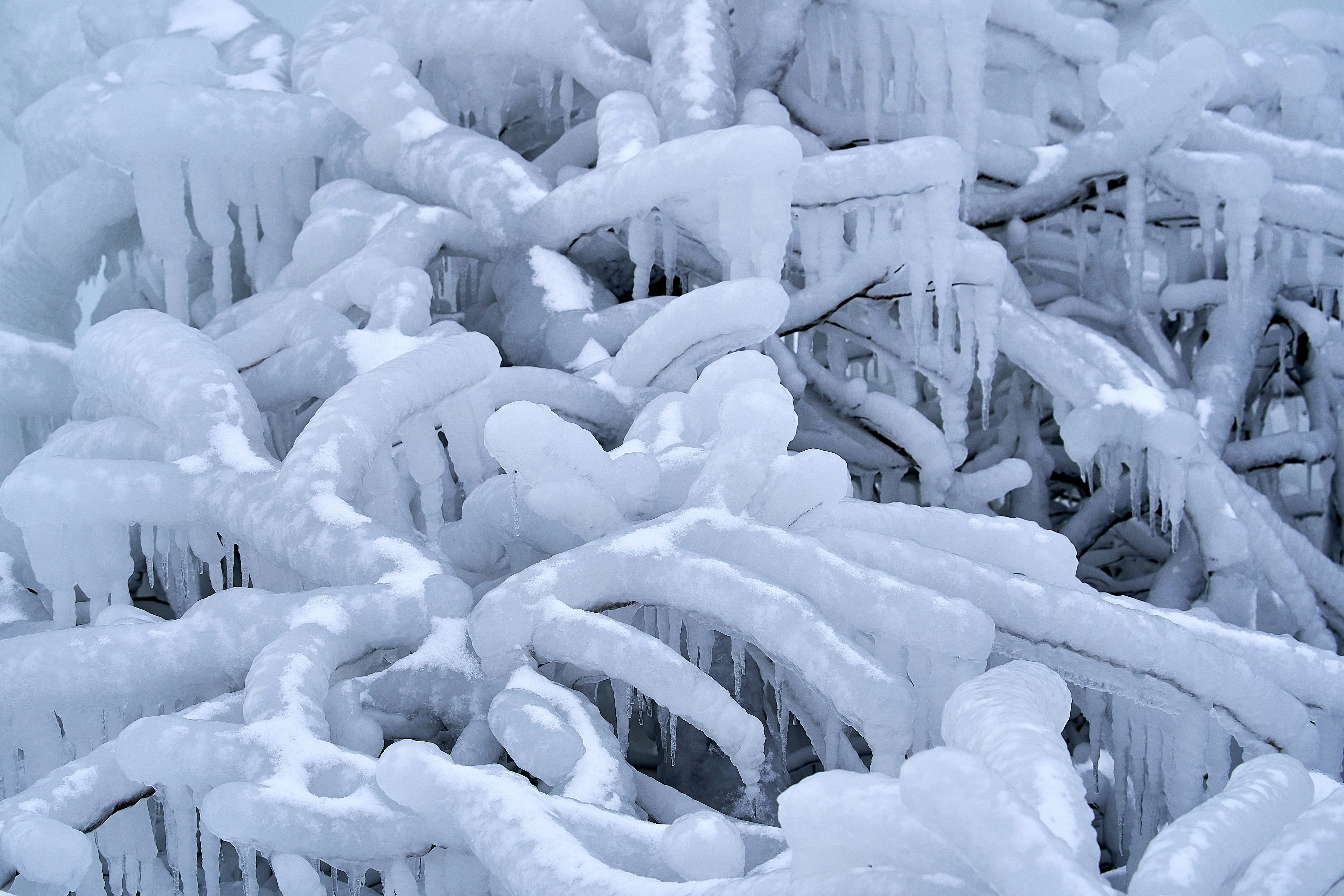 Photo by wolfgang_hasselmann