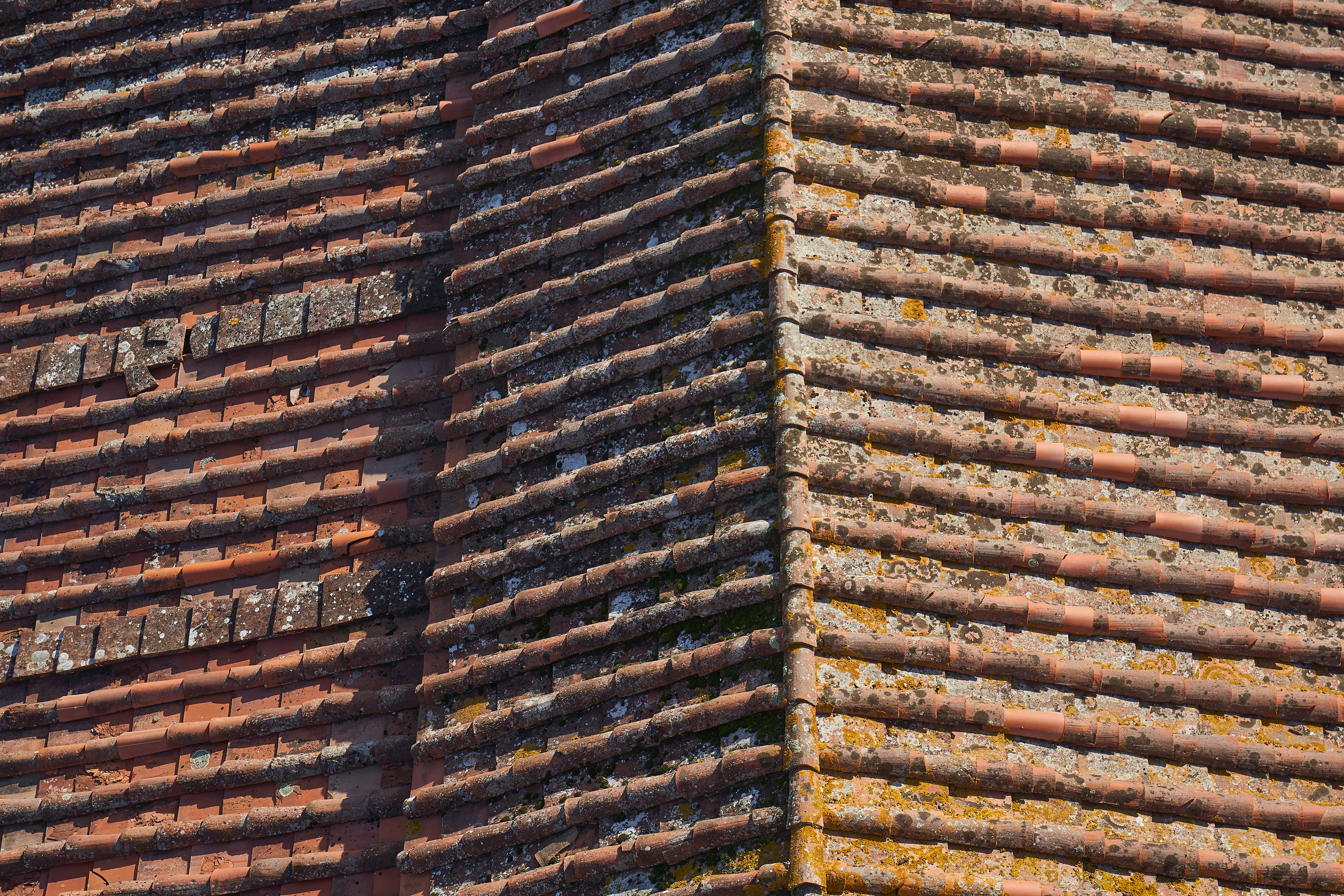 Photo by wolfgang_hasselmann