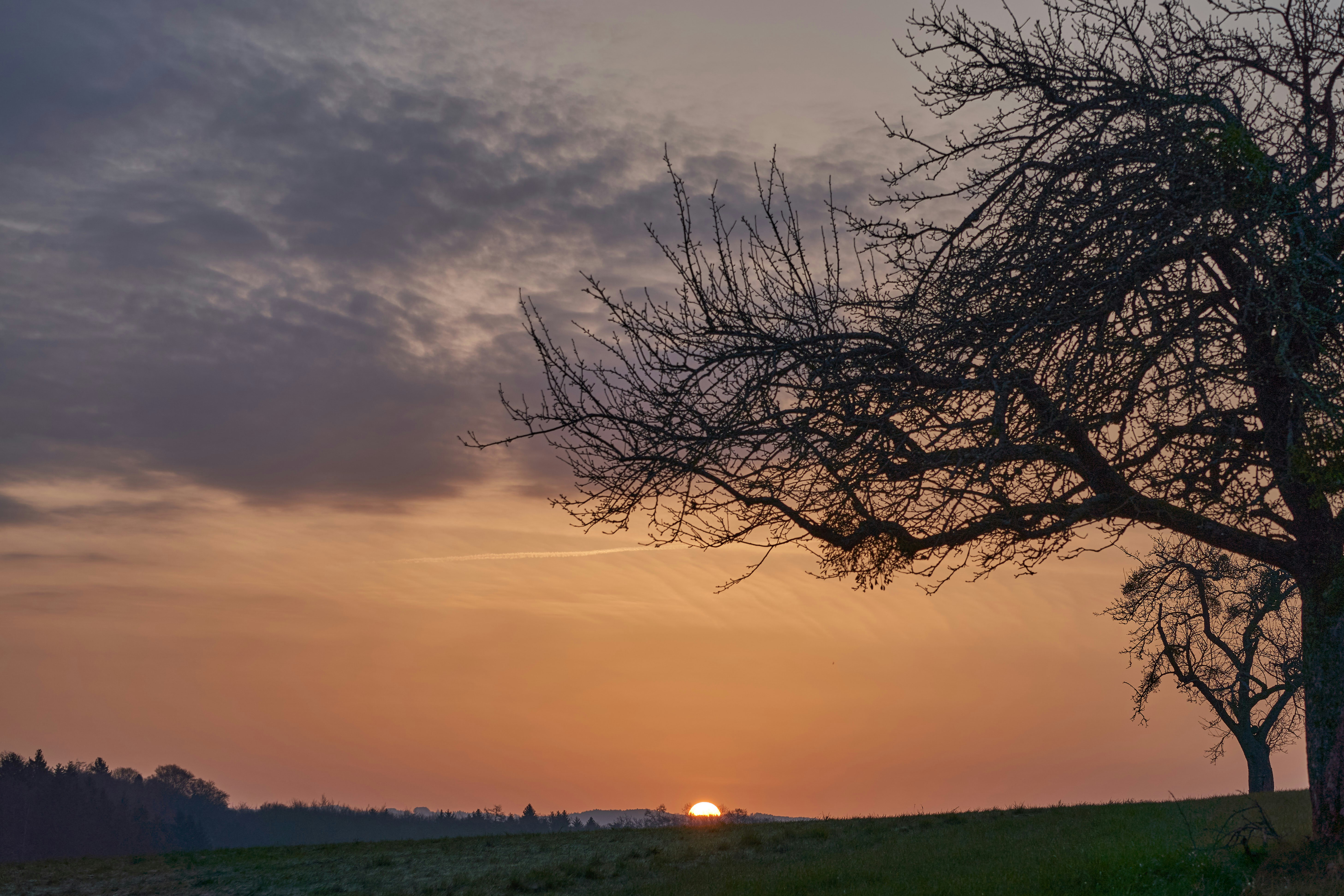 Photo by wolfgang_hasselmann