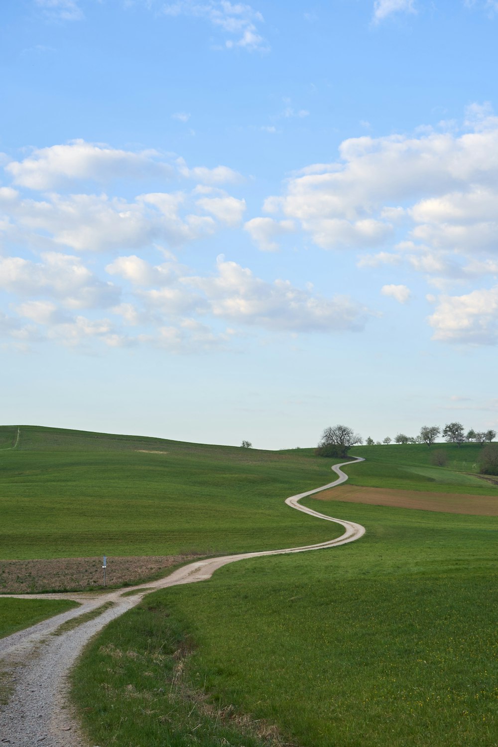 green grass field under blue sky during daytime