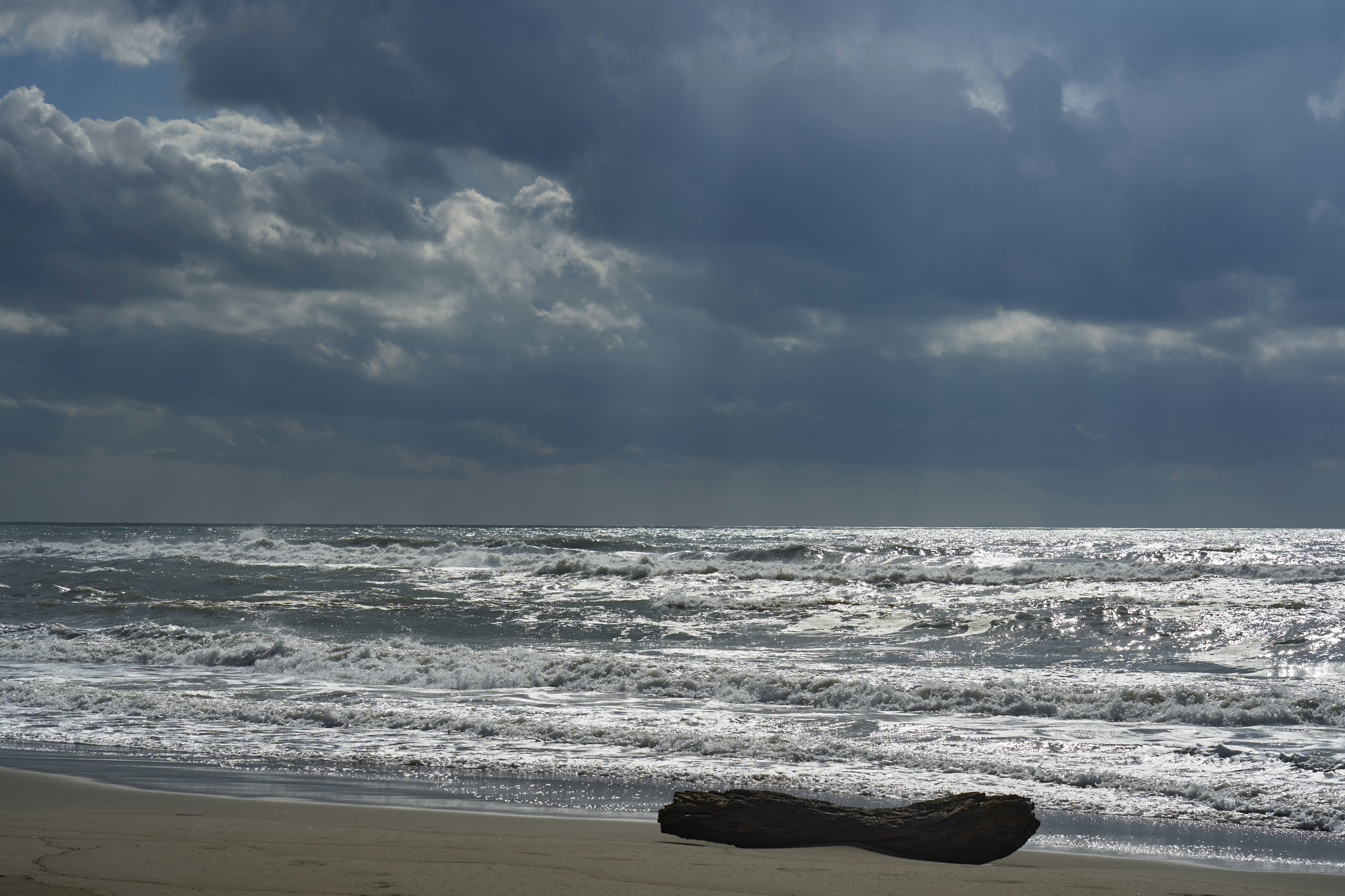 Photo by wolfgang_hasselmann