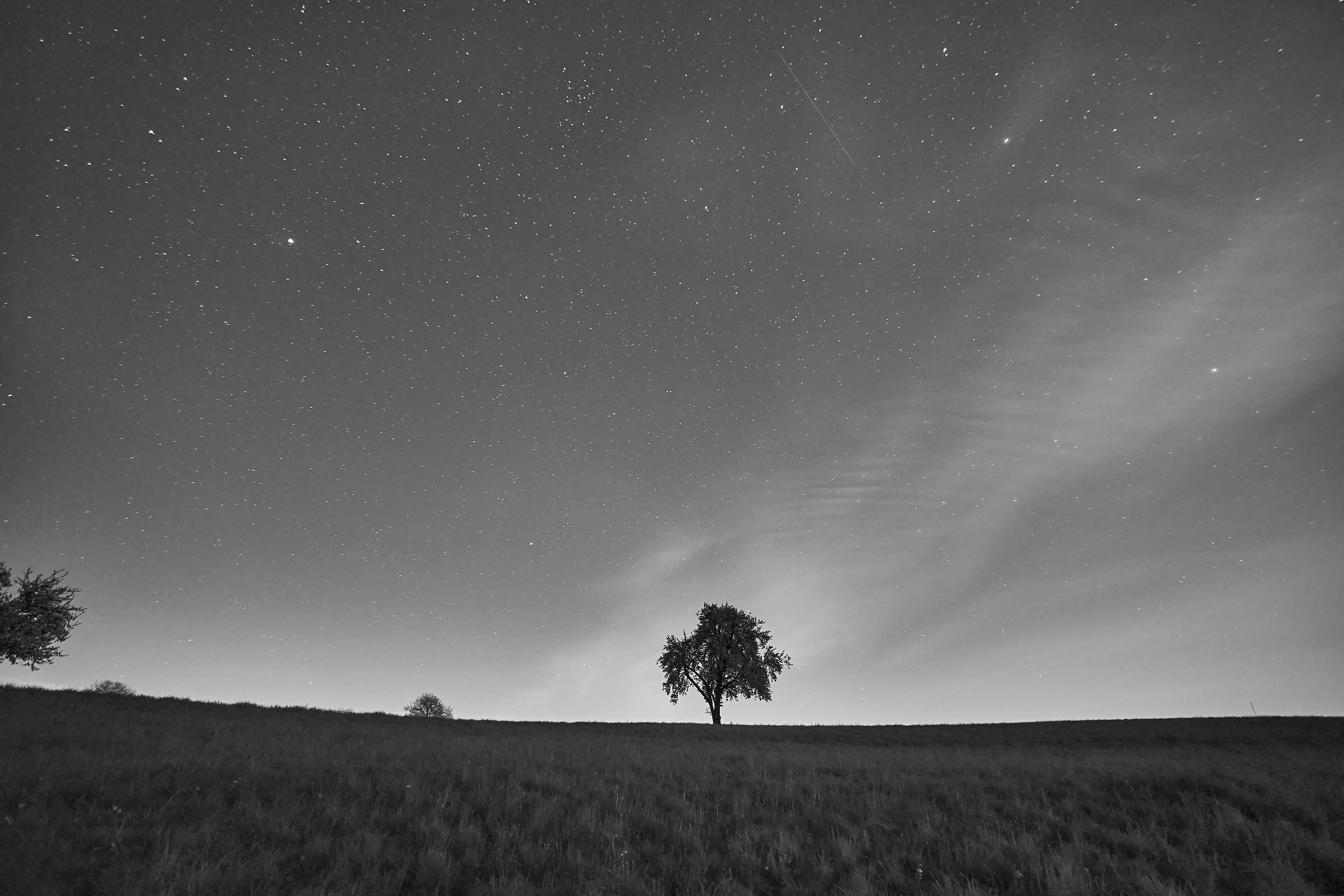 Photo by wolfgang_hasselmann