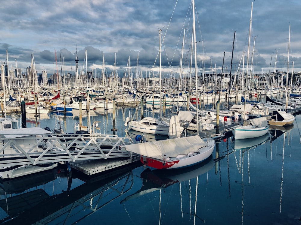 white and blue boats on dock during daytime