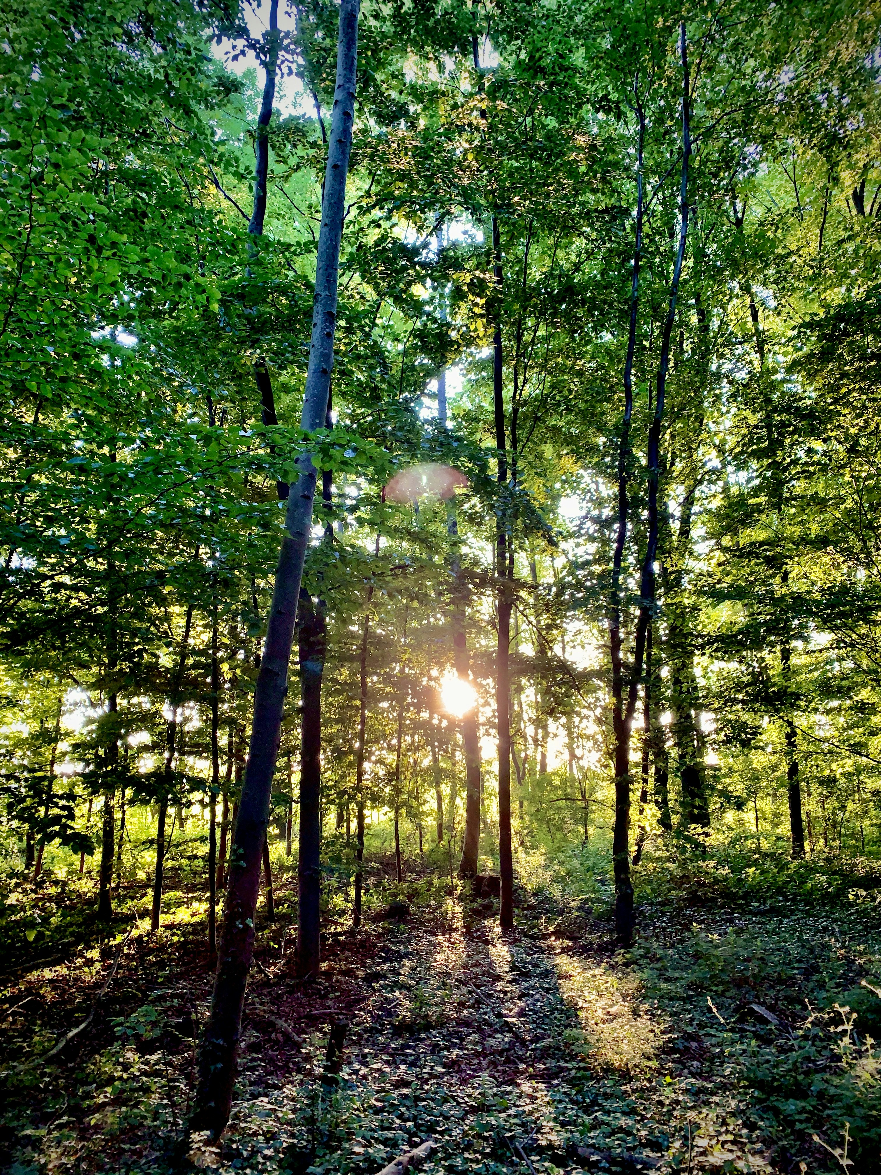 Photo by wolfgangrittner