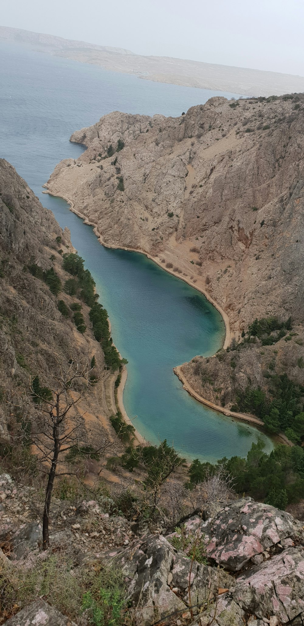 blue lake in the middle of the forest