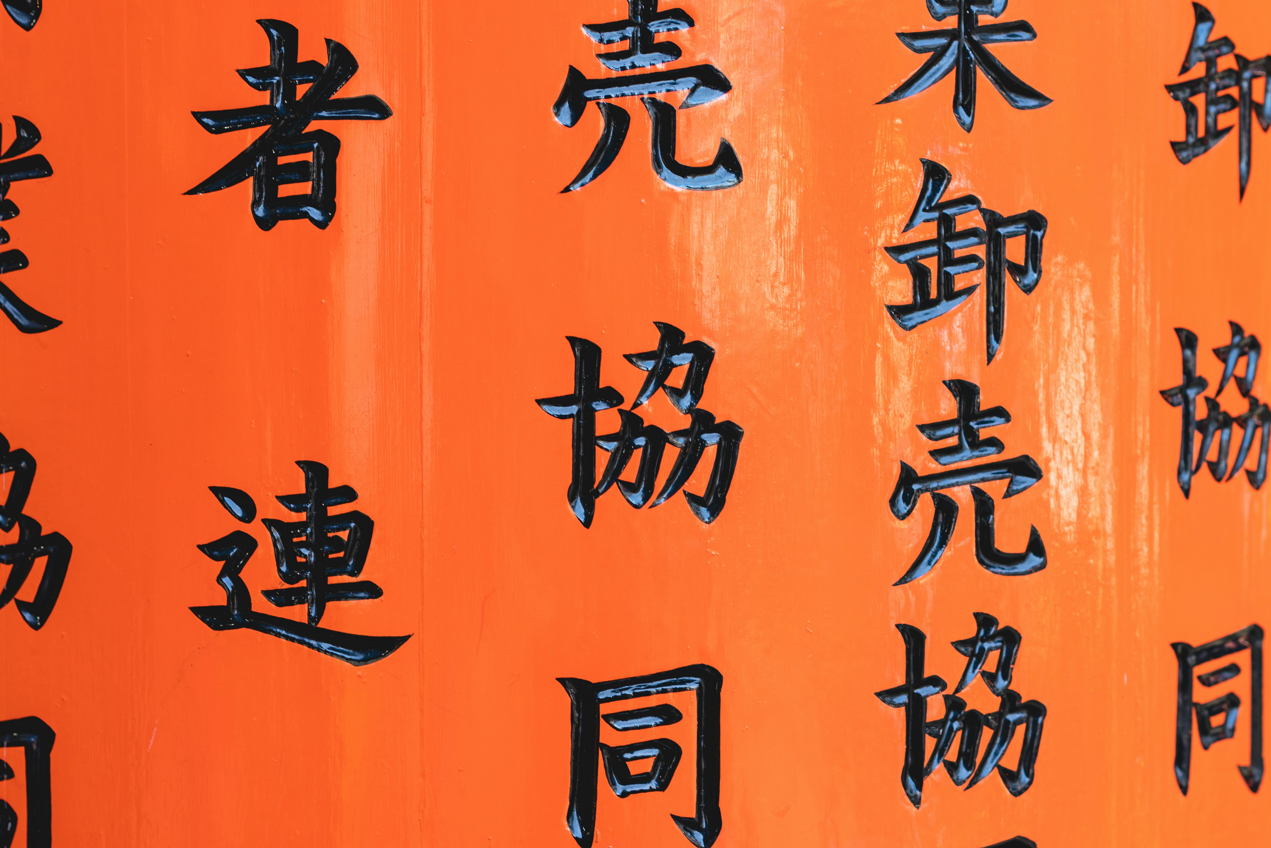 Photo by whiterainforest