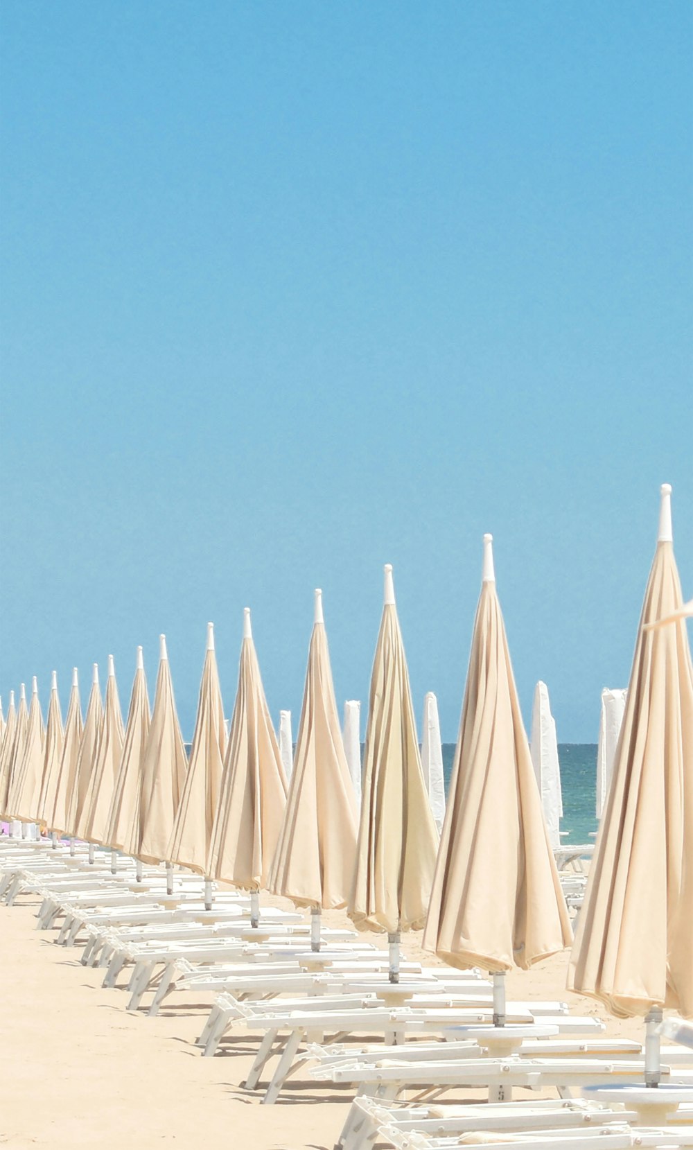 weiße und blaue Sonnenschirme am Strand tagsüber