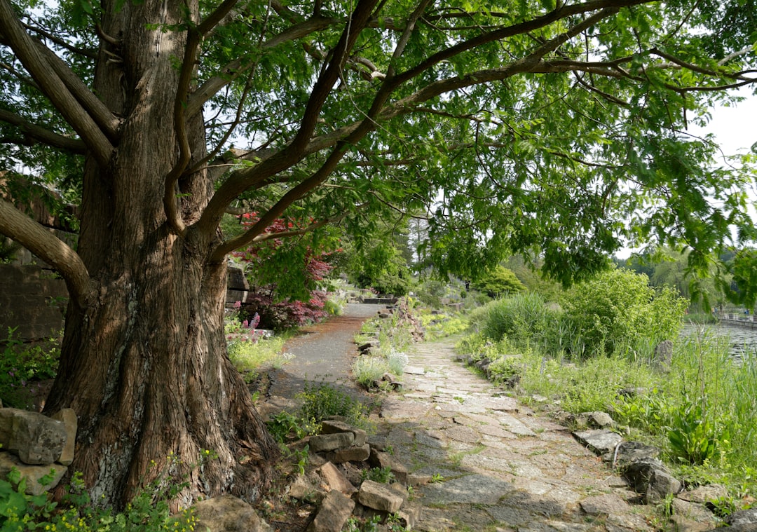 photo of Haren Forest near Dierenpark Emmen