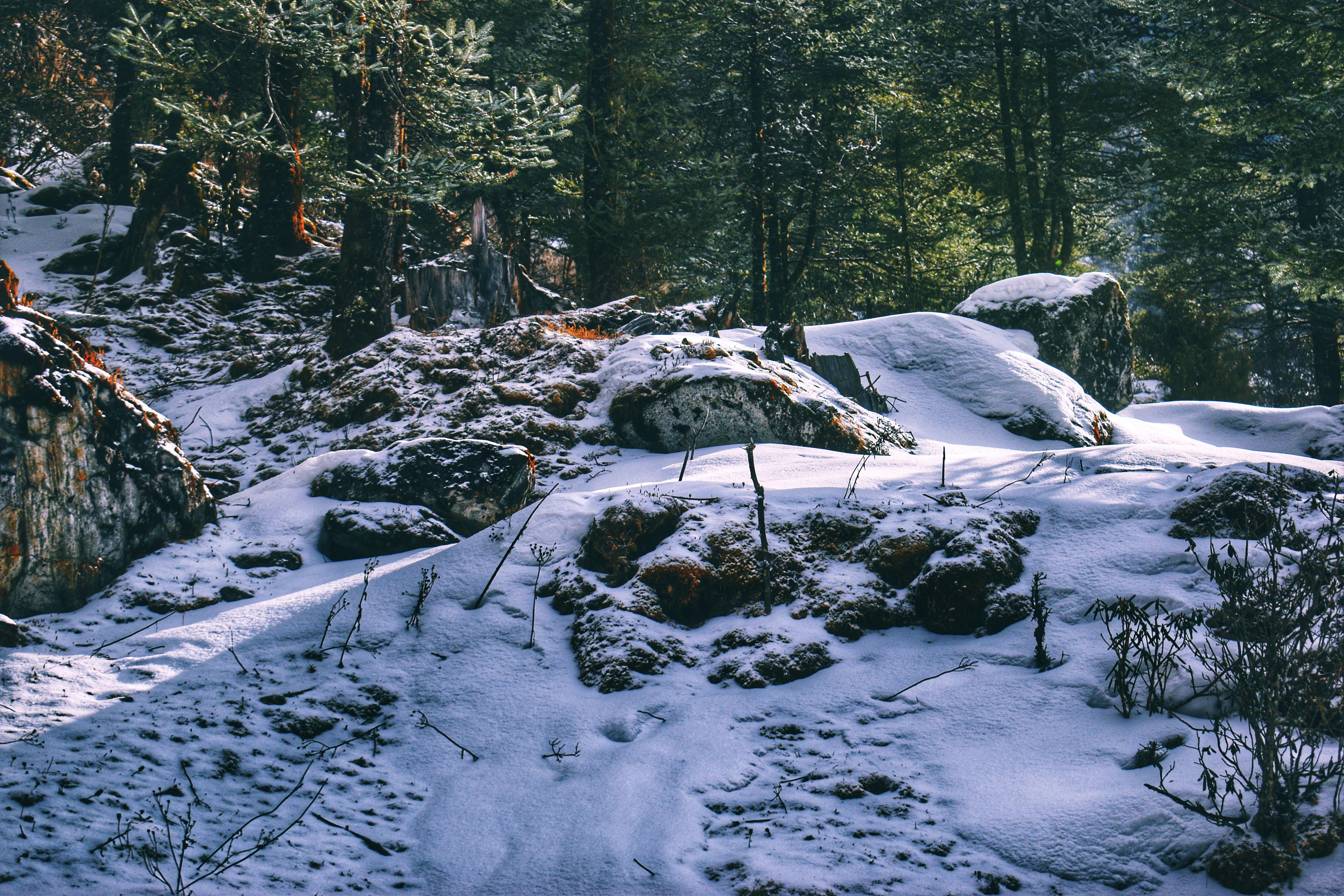 Photo by amitasaurus