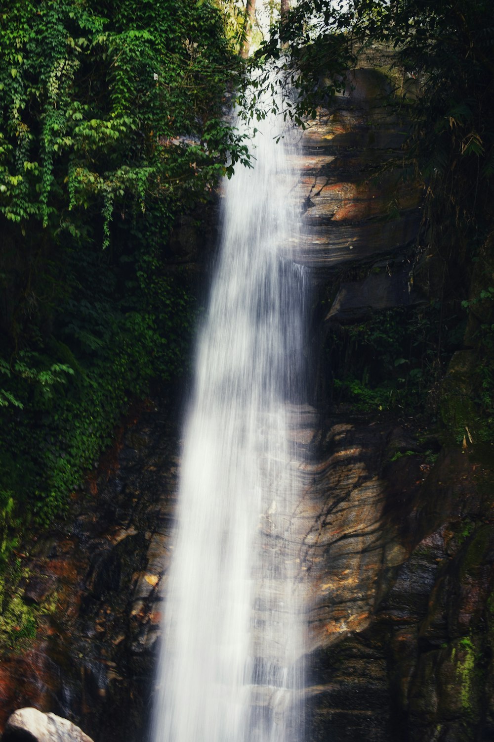 waterfalls in the middle of the forest