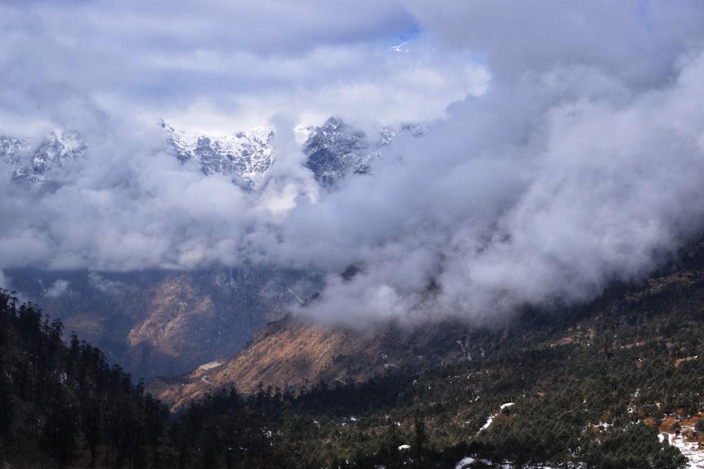 green trees and mountain under white clouds and blue sky during daytime