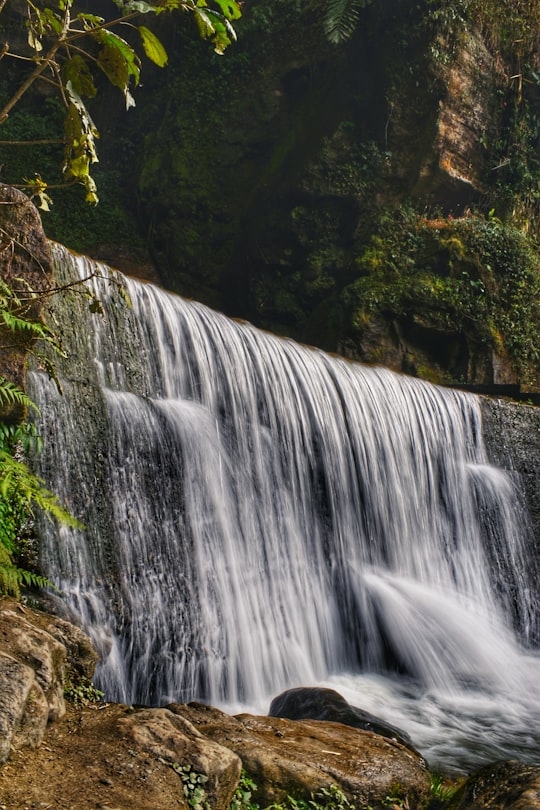 waterfalls in forest during daytime in Sikkim India