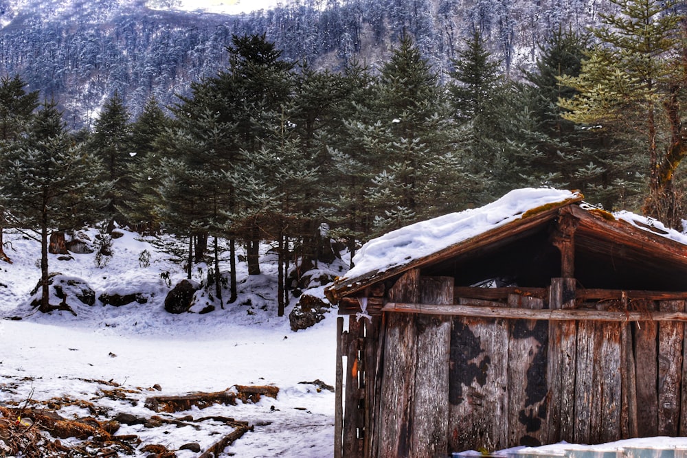 brown wooden house on snow covered ground near trees during daytime