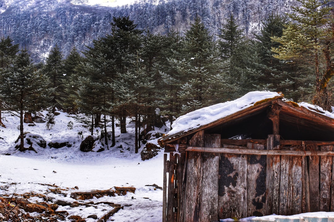 Log cabin photo spot Sikkim Darjeeling