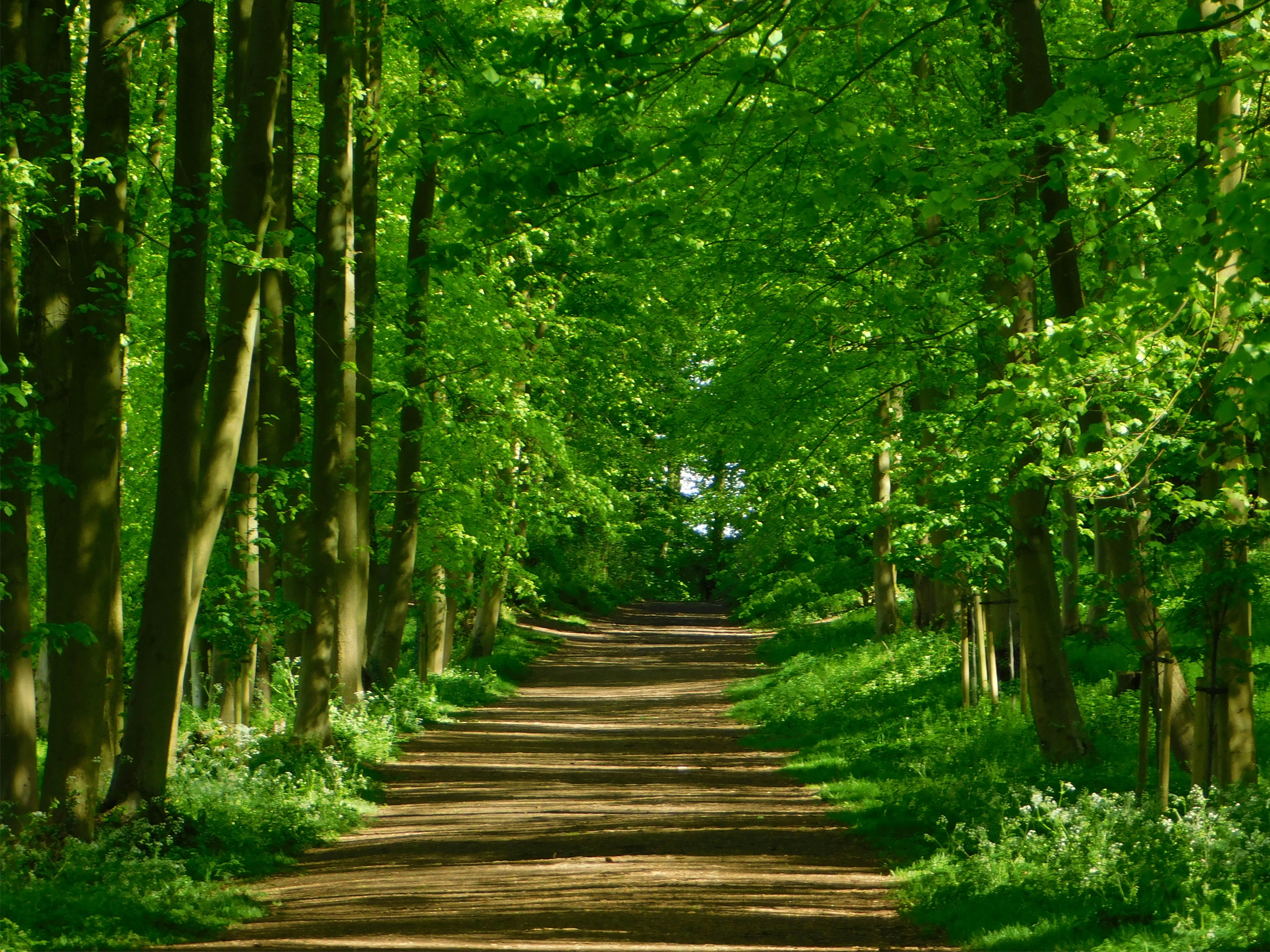 Photo by samanthasam05