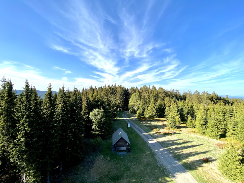 green and white house surrounded by green trees under blue sky during daytime