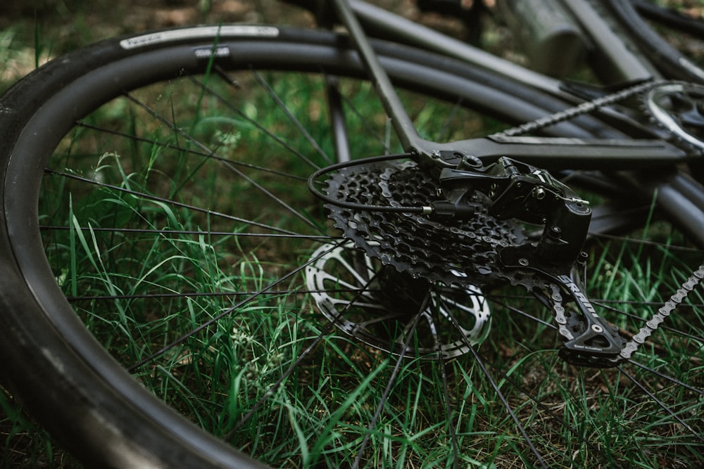roue de bicyclette sur l’herbe verte