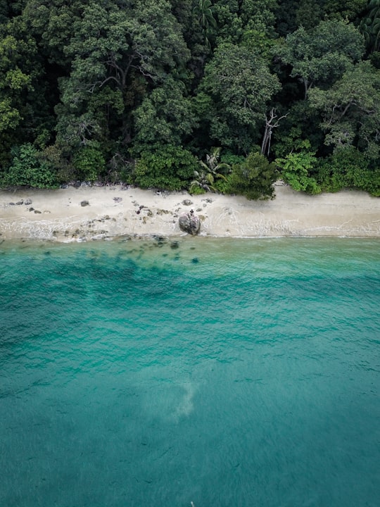 green trees beside body of water during daytime in Port Dickson Malaysia