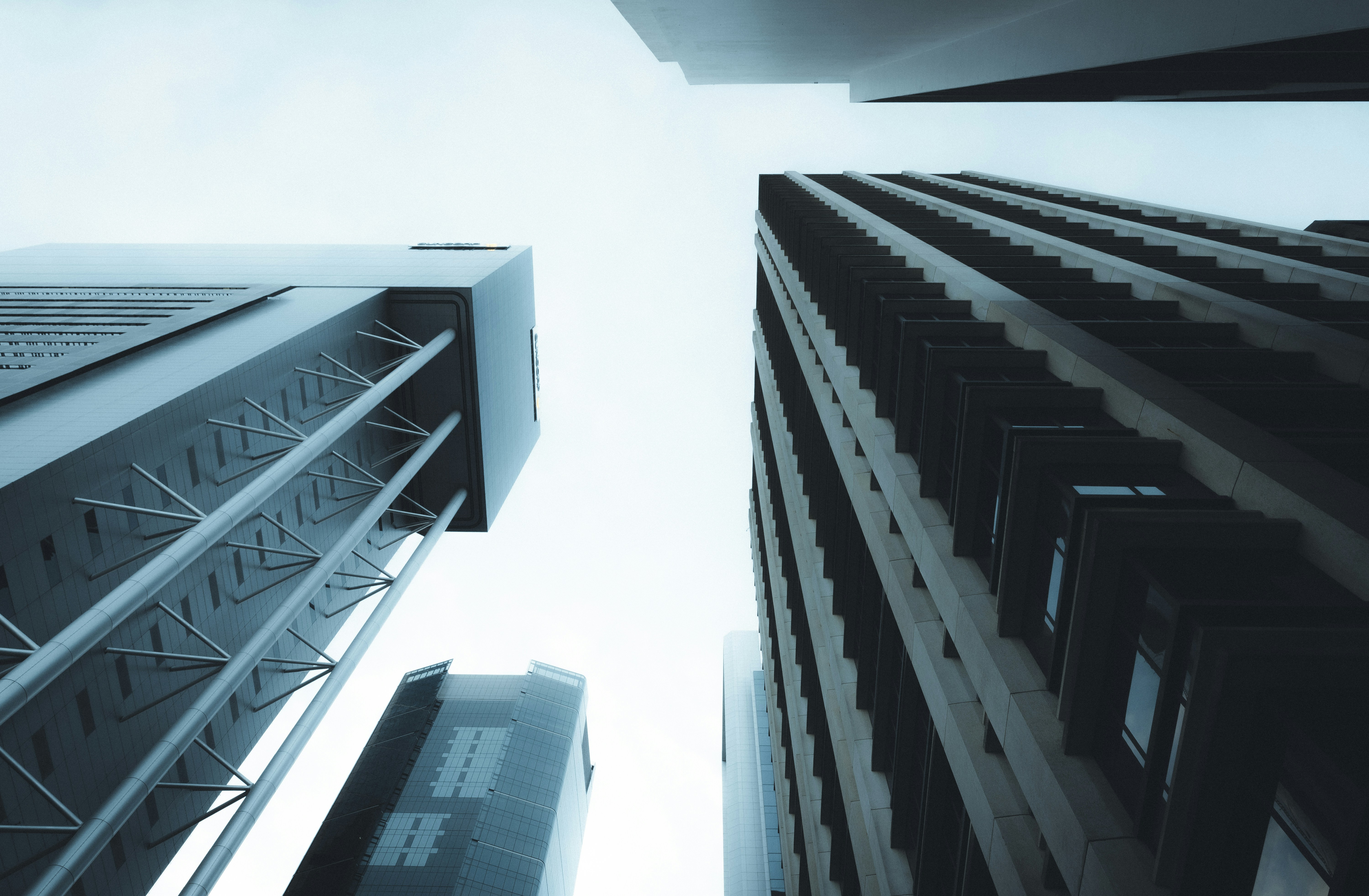 Photo by michael_marais