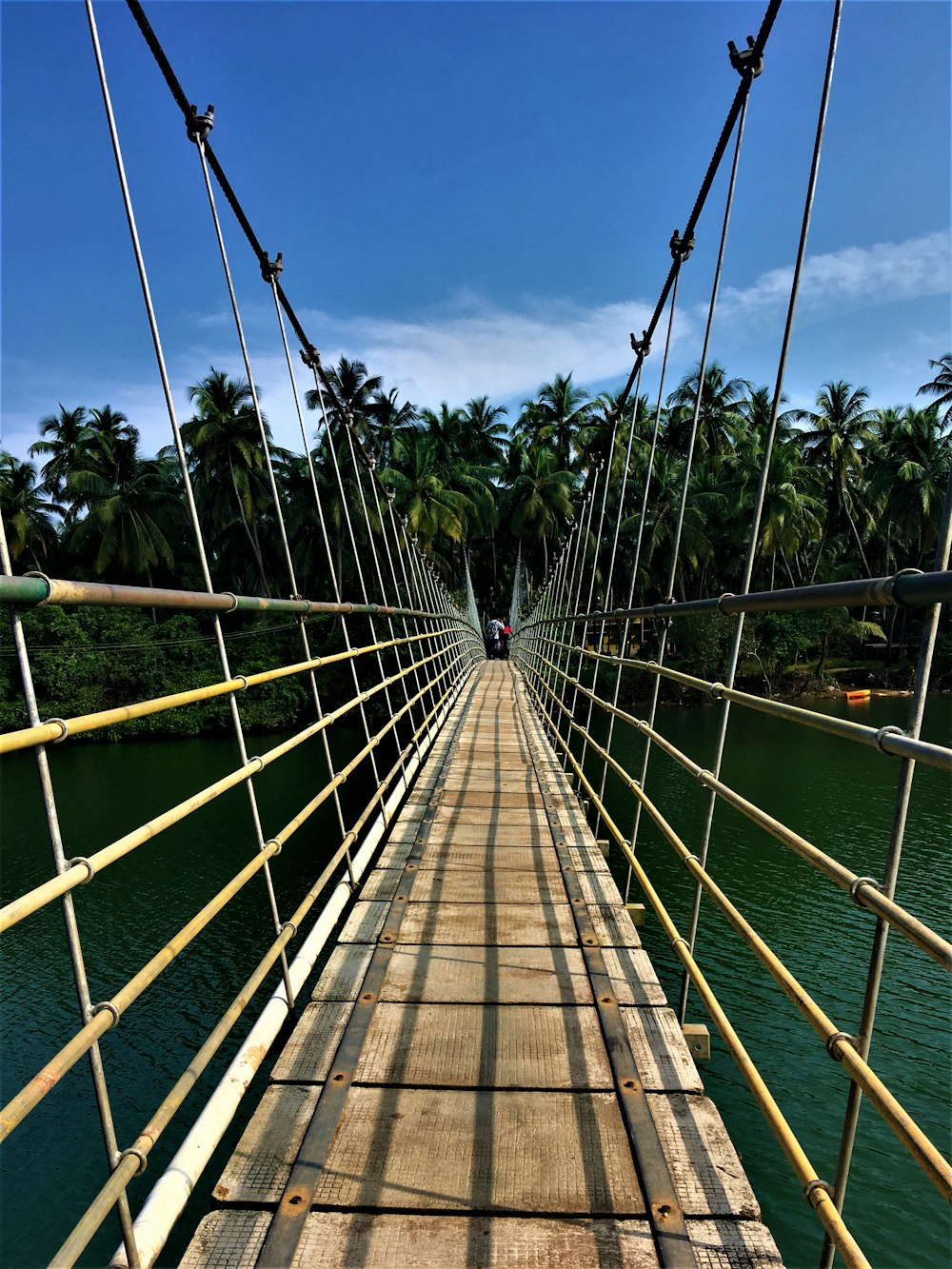 brown wooden bridge over green water