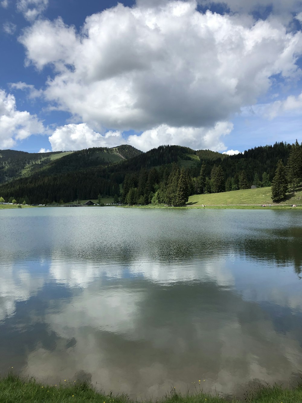 green trees beside lake under blue sky during daytime