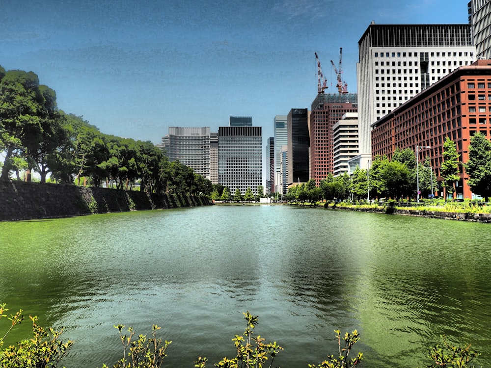 body of water near green trees and high rise buildings during daytime