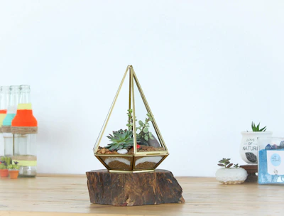 Elegant geometric terrarium featuring succulents and pebbles on a wooden table.