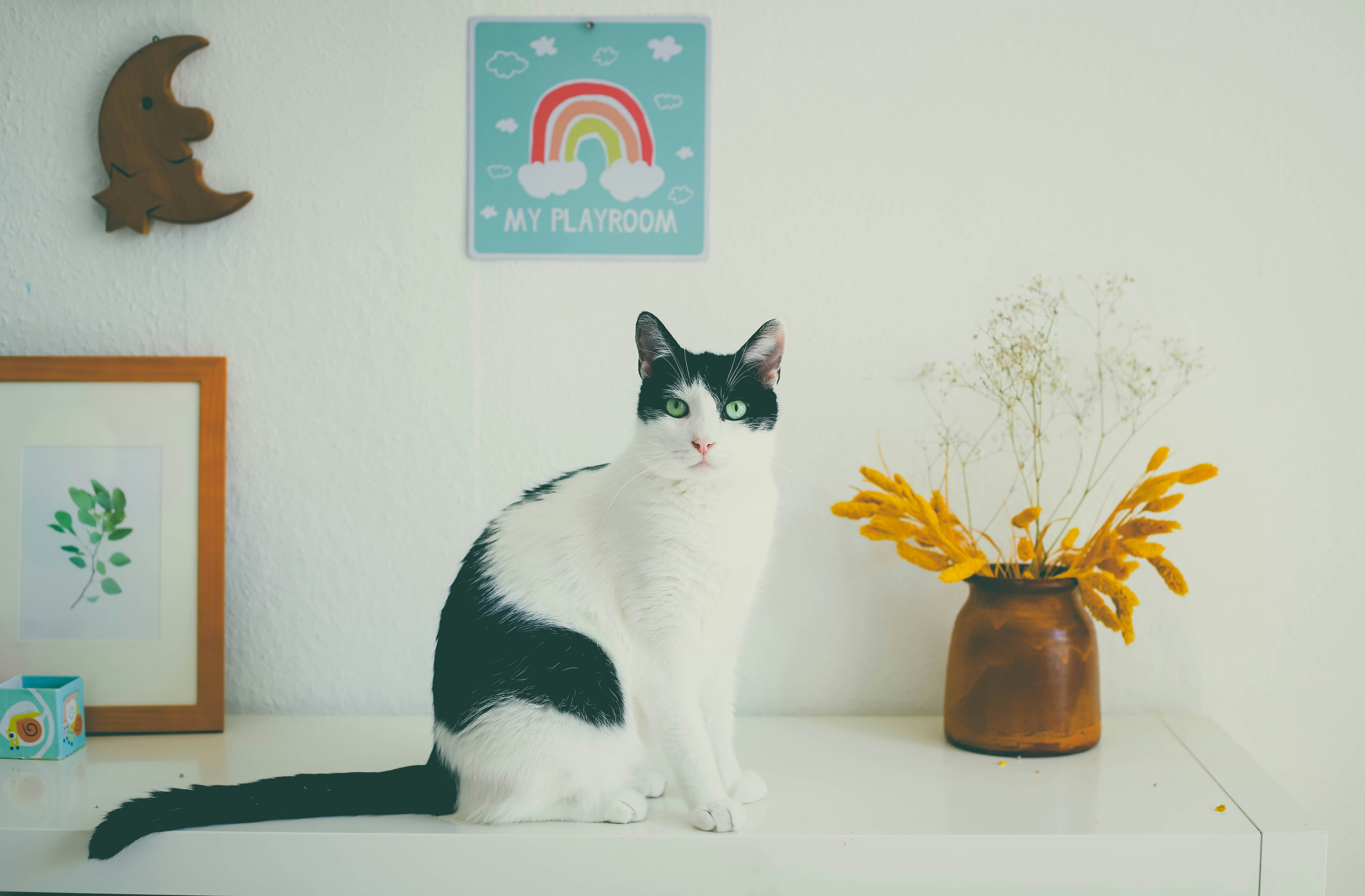 Play Zones and Excitement (image credits: unsplash)