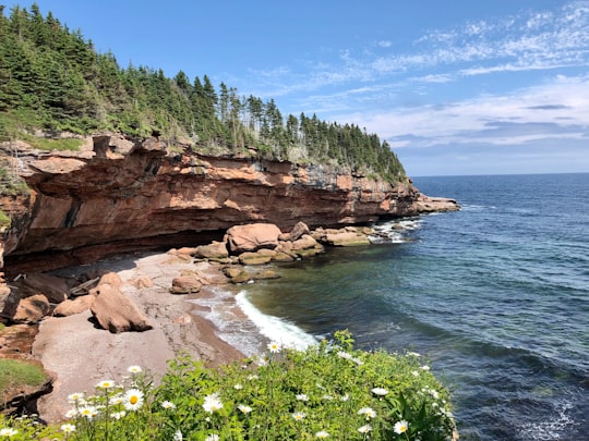 brown rocky mountain beside green trees and body of water during daytime in Île-Bonaventure-et-du-Rocher-Percé National Park Canada